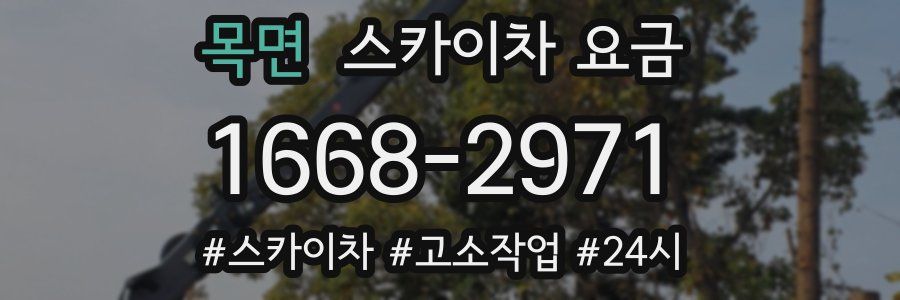 목면 스카이차 요금