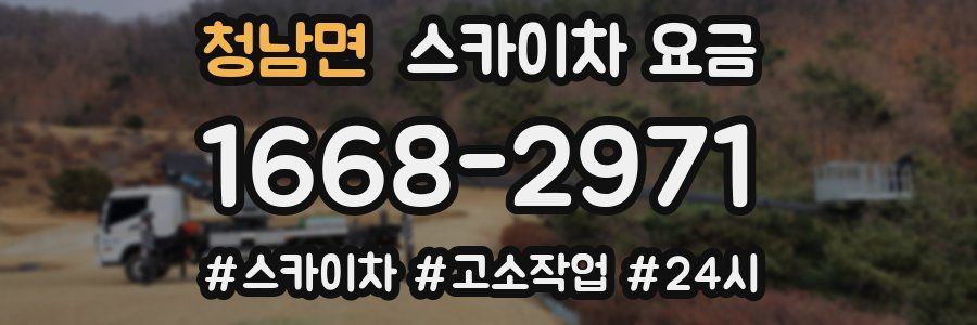 청남면 스카이차 요금