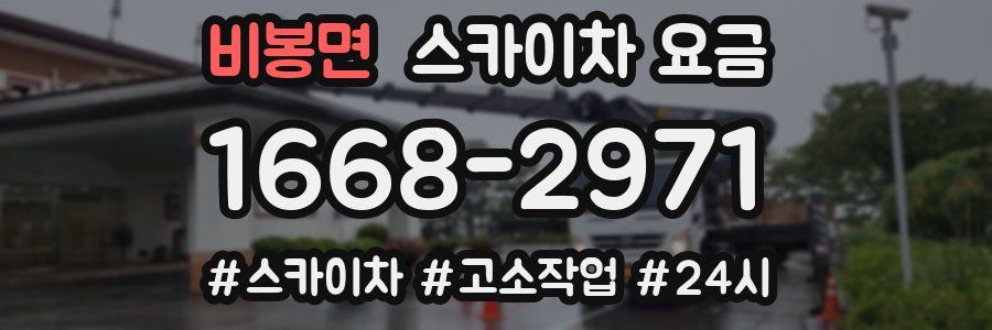 비봉면 스카이차 요금