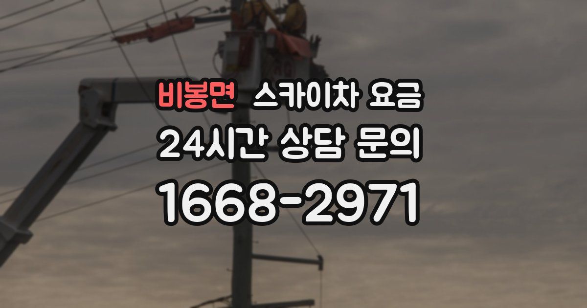 비봉면 스카이차 요금