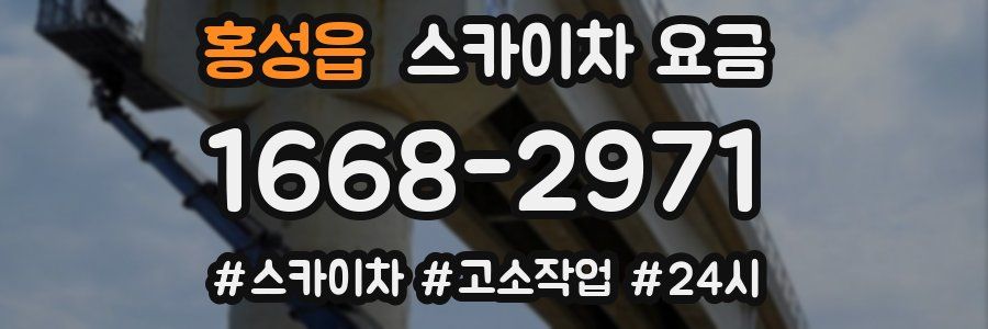 홍성읍 스카이차 요금