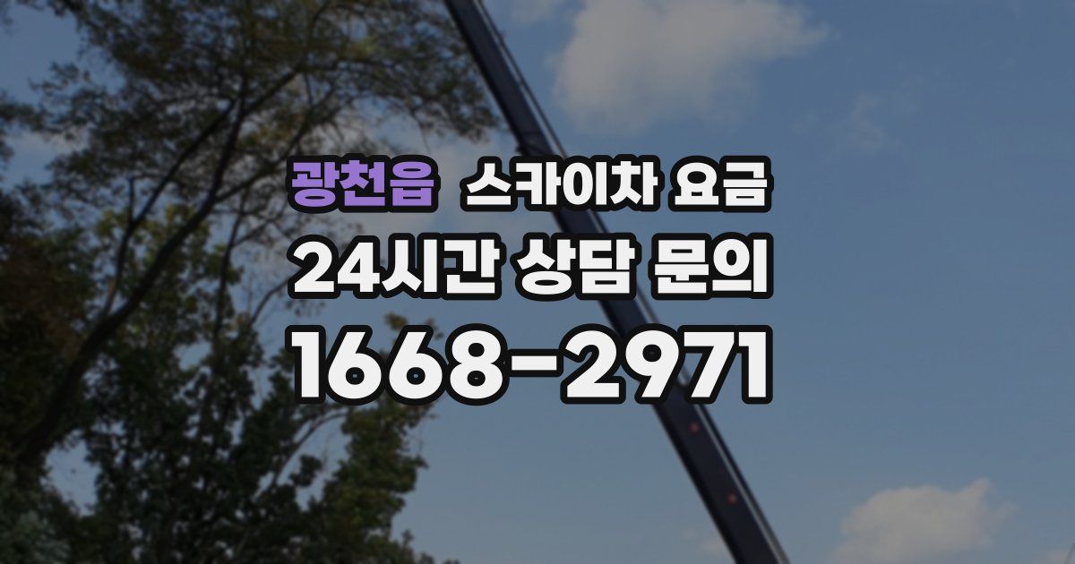 광천읍 스카이차 요금