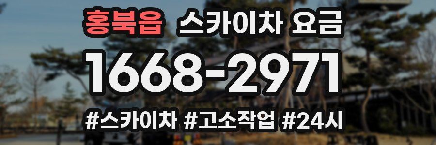 홍북읍 스카이차 요금