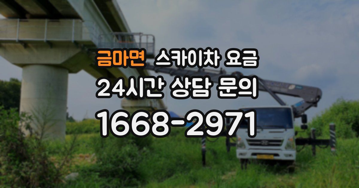 금마면 스카이차 요금