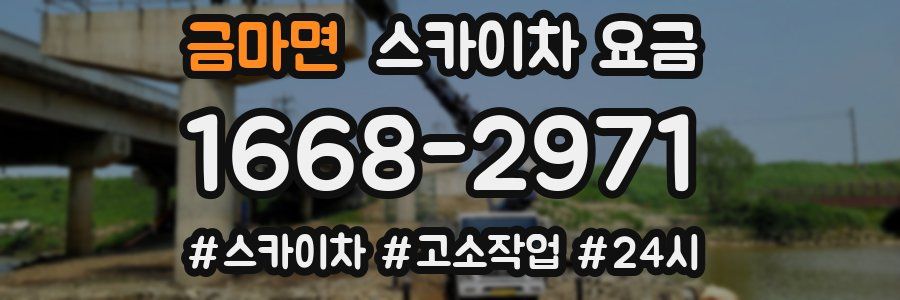 금마면 스카이차 요금