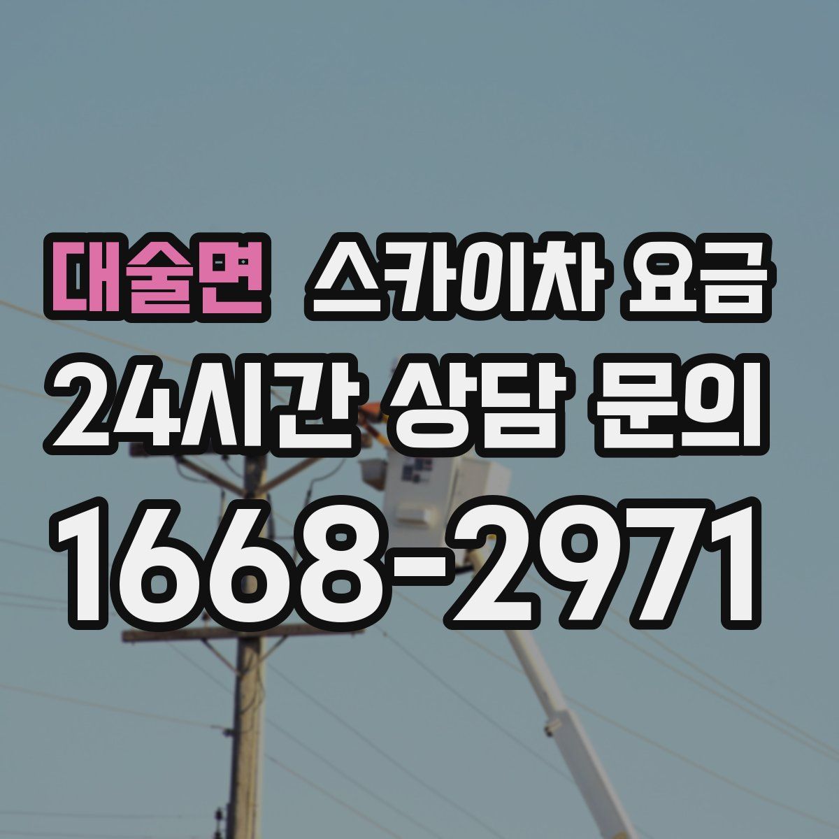 대술면 스카이차 요금