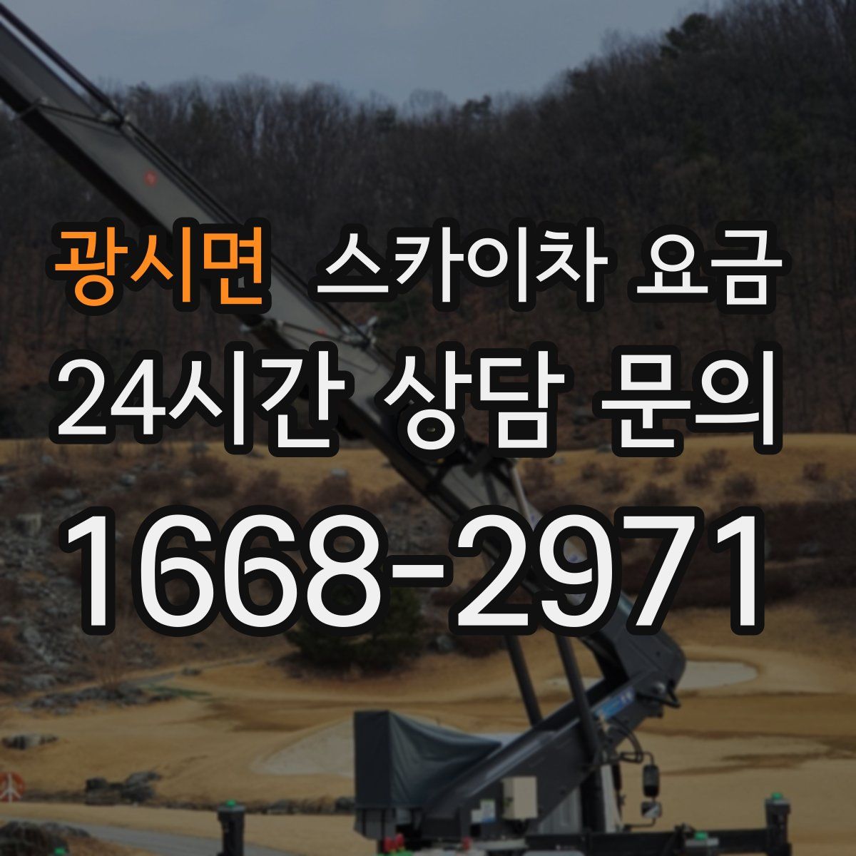 광시면 스카이차 요금