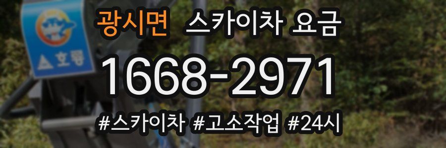 광시면 스카이차 요금