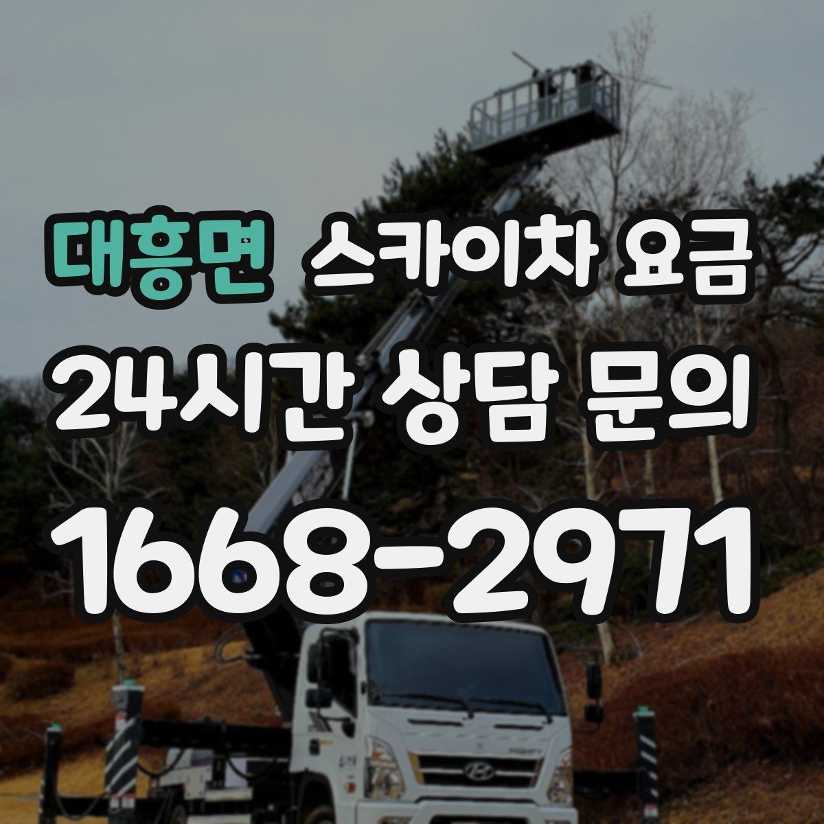 대흥면 스카이차 요금