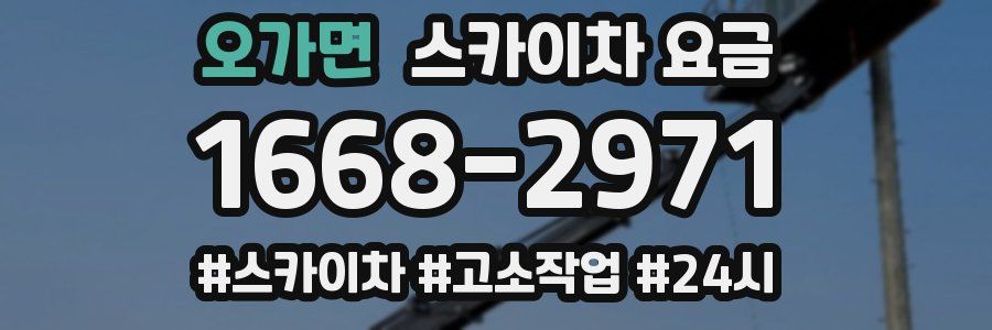 오가면 스카이차 요금