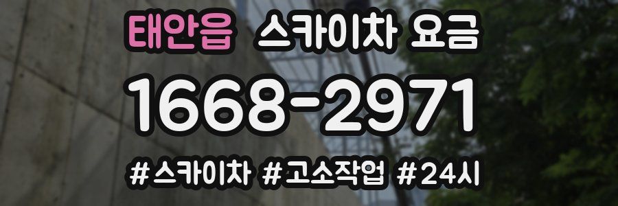 태안읍 스카이차 요금