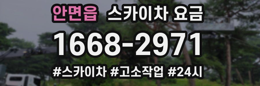 안면읍 스카이차 요금