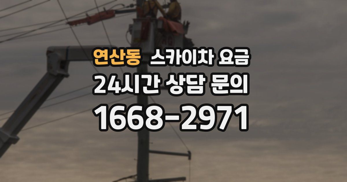 연산동 스카이차 요금