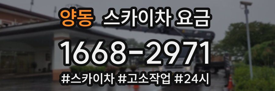 양동 스카이차 요금