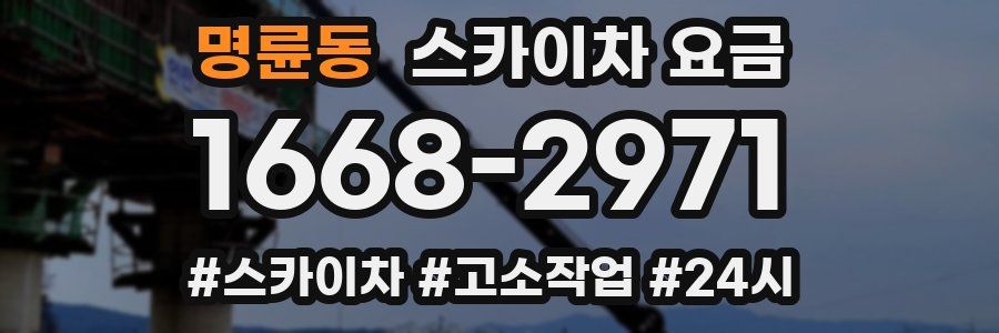 명륜동 스카이차 요금