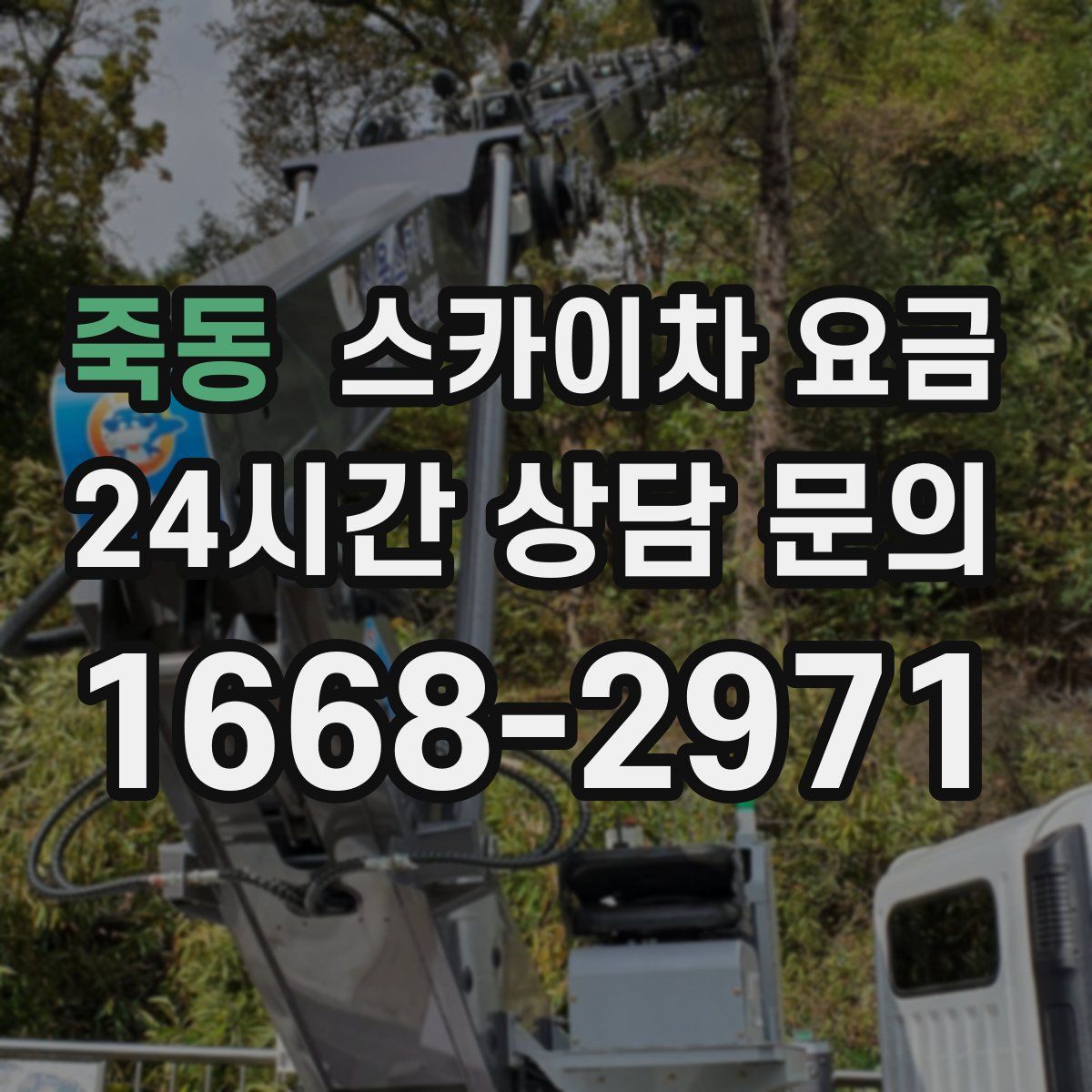 죽동 스카이차 요금