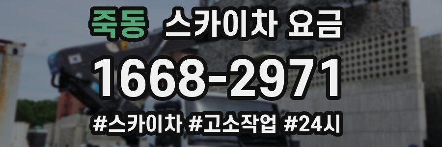 죽동 스카이차 요금