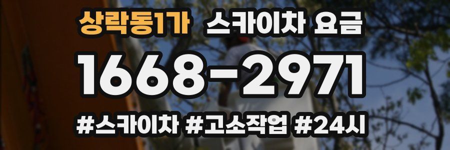 상락동1가 스카이차 요금