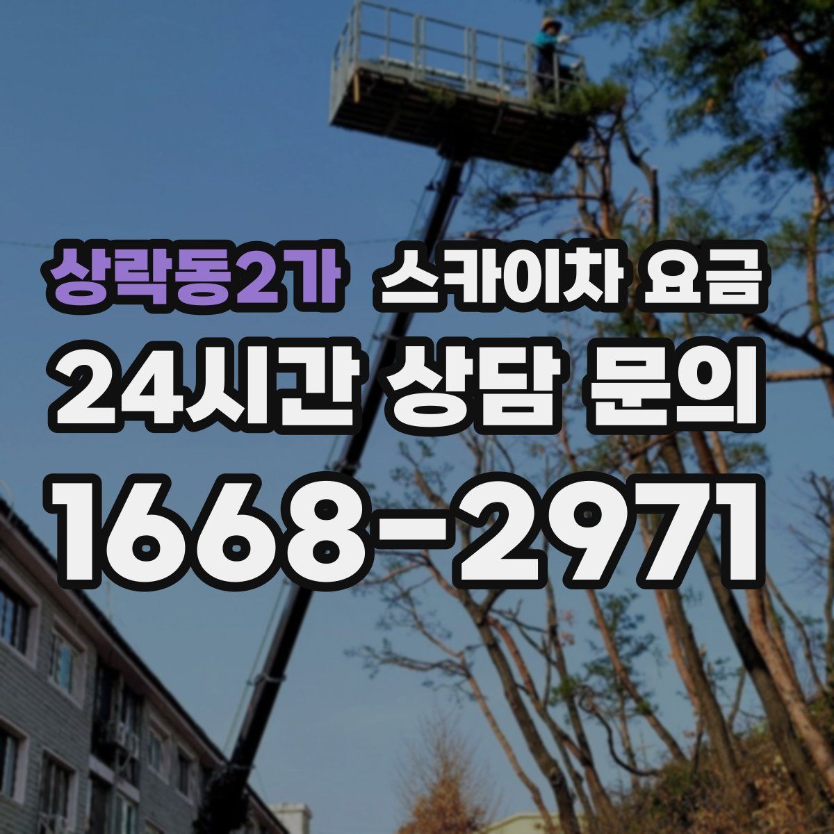 상락동2가 스카이차 요금