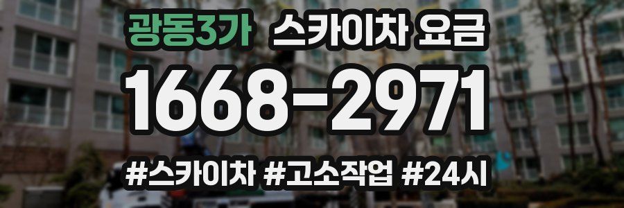 광동3가 스카이차 요금