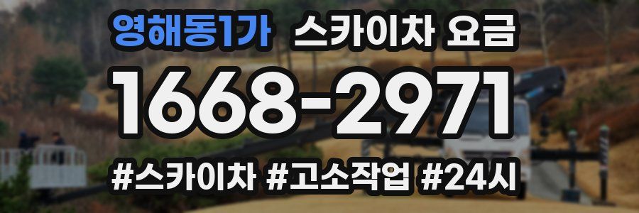 영해동1가 스카이차 요금