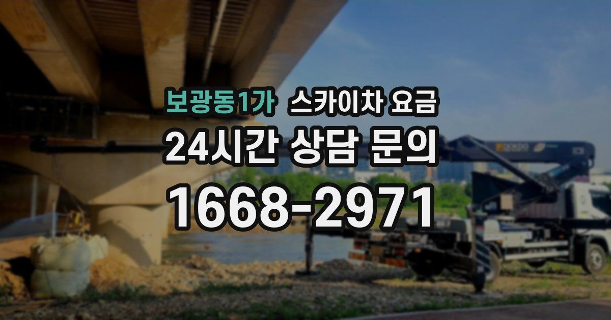 보광동1가 스카이차 요금
