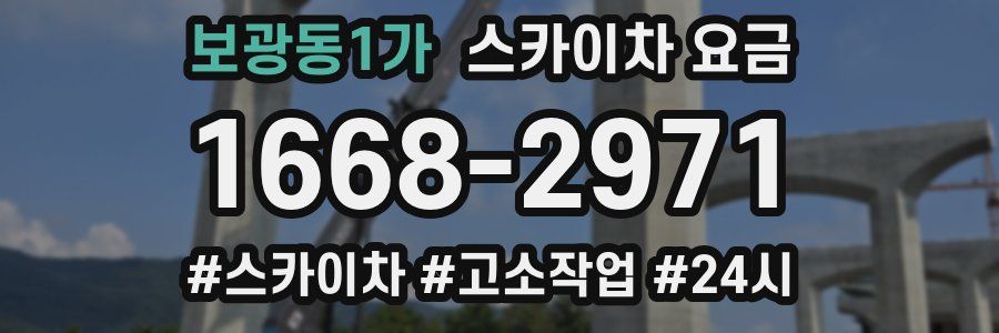 보광동1가 스카이차 요금