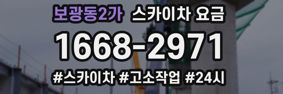 보광동2가 스카이차 요금