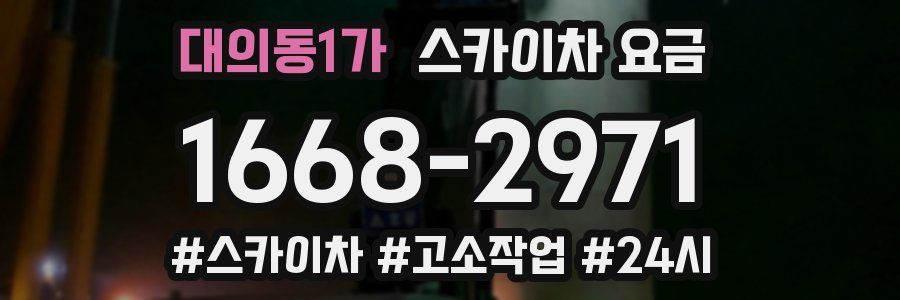 대의동1가 스카이차 요금