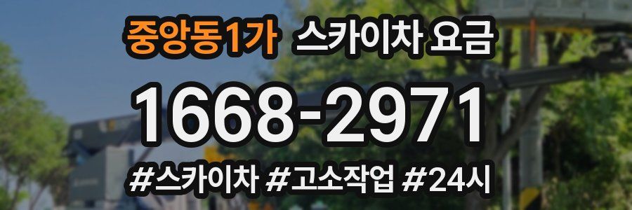 중앙동1가 스카이차 요금
