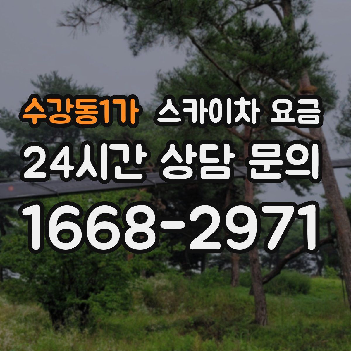 수강동1가 스카이차 요금