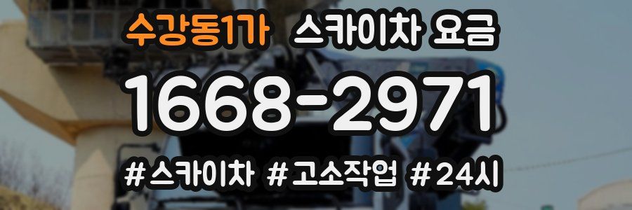 수강동1가 스카이차 요금