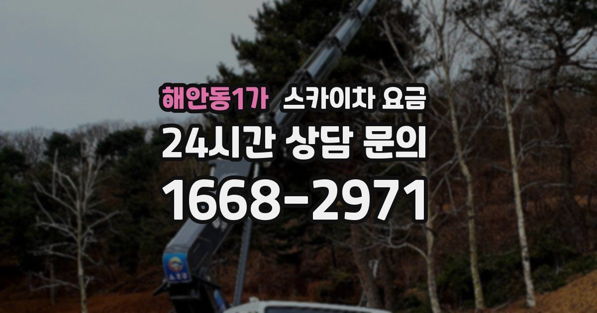 해안동1가 스카이차 요금