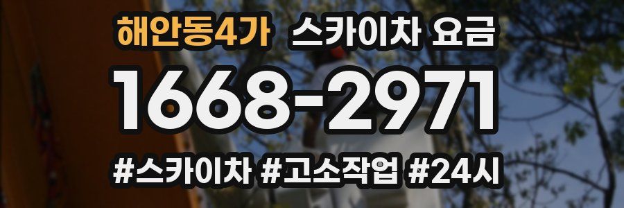 해안동4가 스카이차 요금