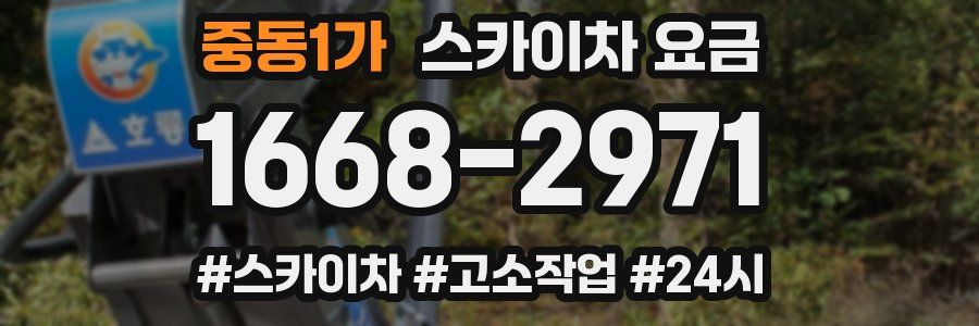 중동1가 스카이차 요금