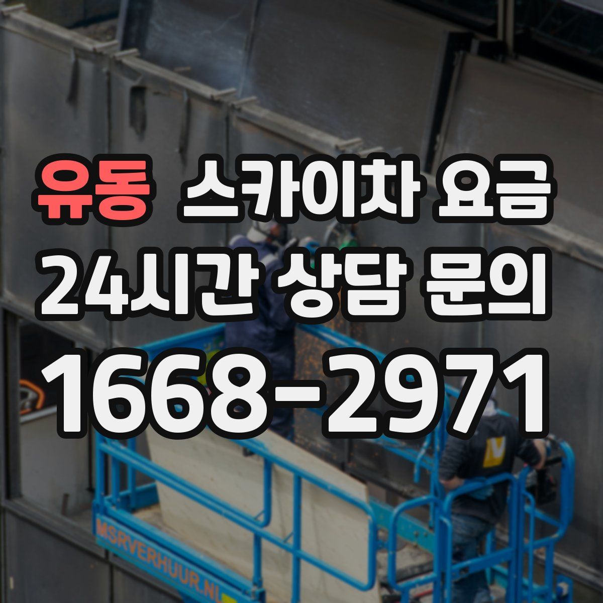 유동 스카이차 요금