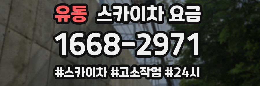 유동 스카이차 요금