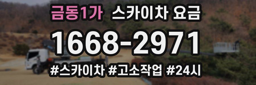 금동1가 스카이차 요금