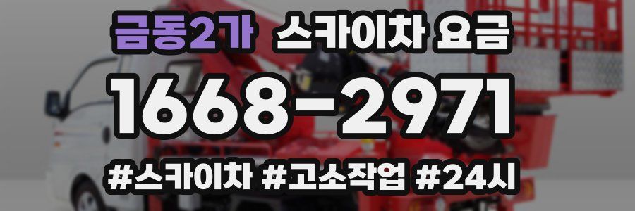 금동2가 스카이차 요금