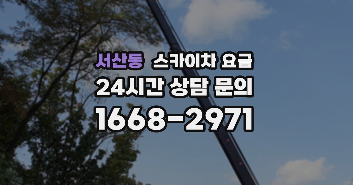 서산동 스카이차 요금