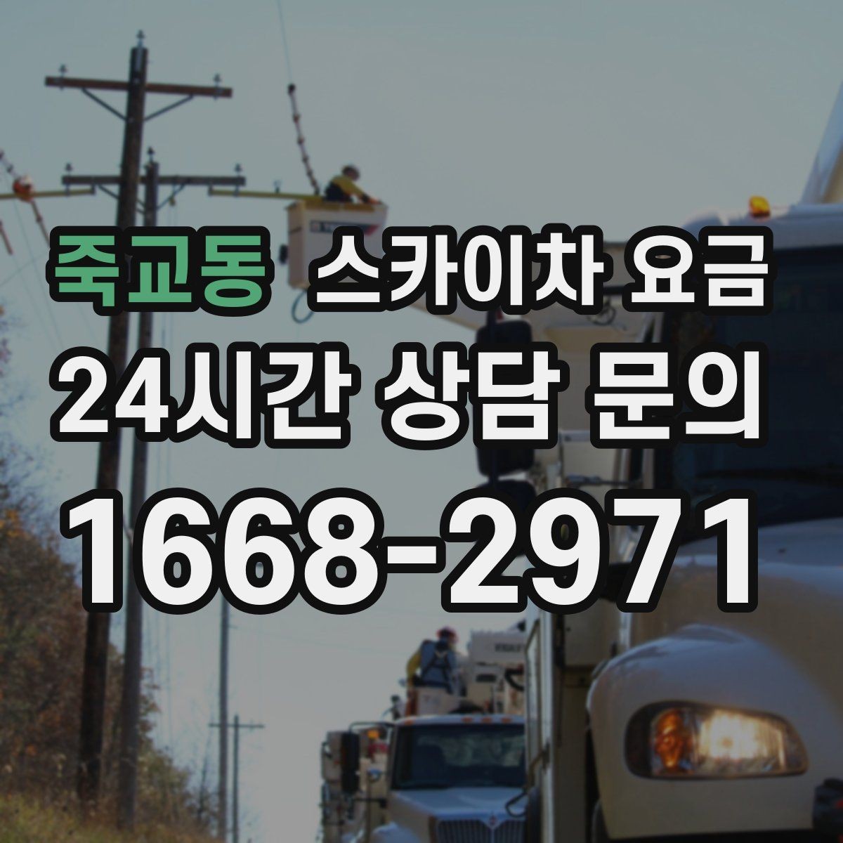 죽교동 스카이차 요금 '싼 견적'이 항상 좋은 선택이 아닌 이유
