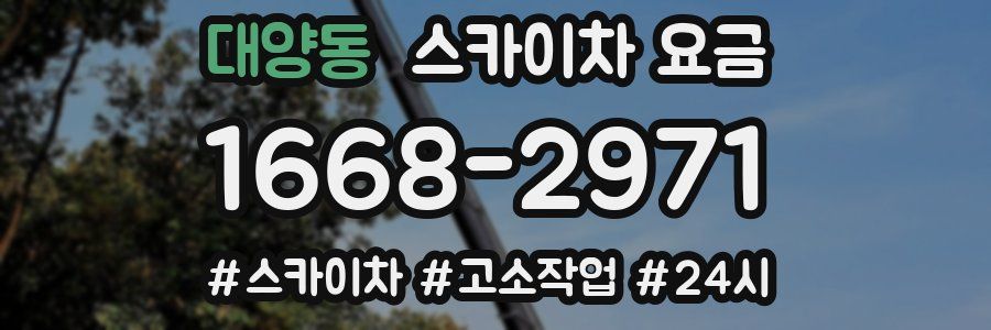 대양동 스카이차 요금