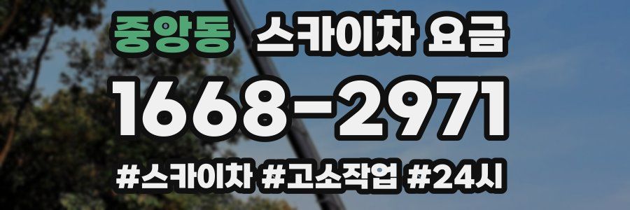 중앙동 스카이차 요금