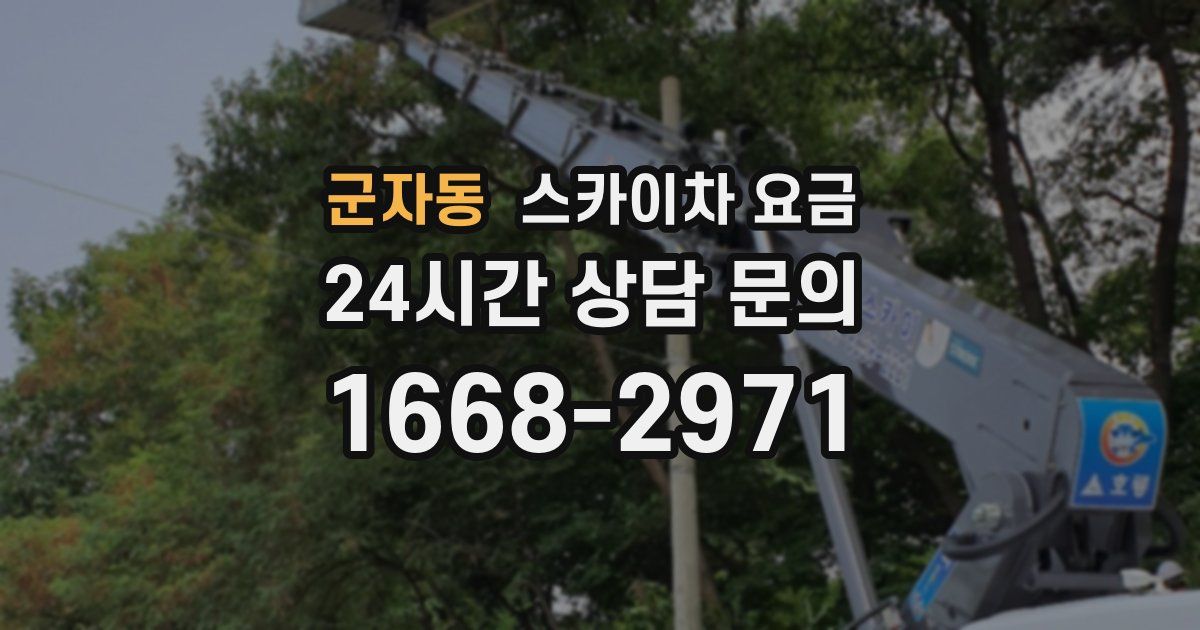 군자동 스카이차 요금