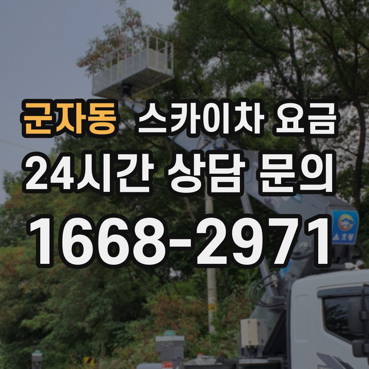 군자동 스카이차 요금