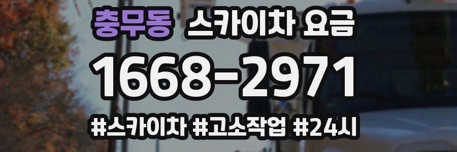 충무동 스카이차 요금