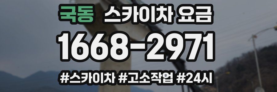 국동 스카이차 요금