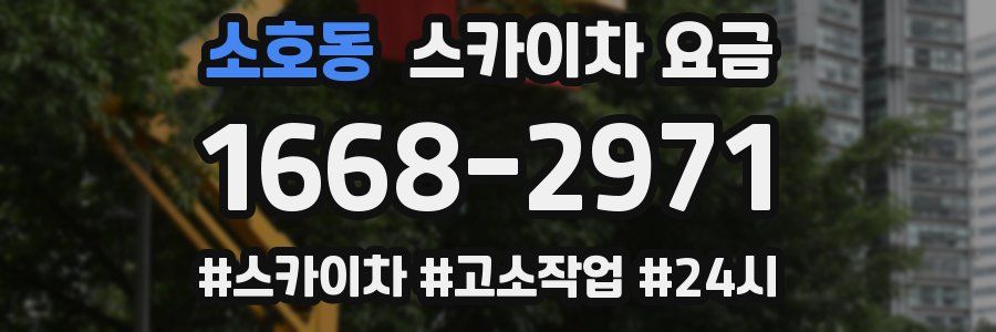 소호동 스카이차 요금