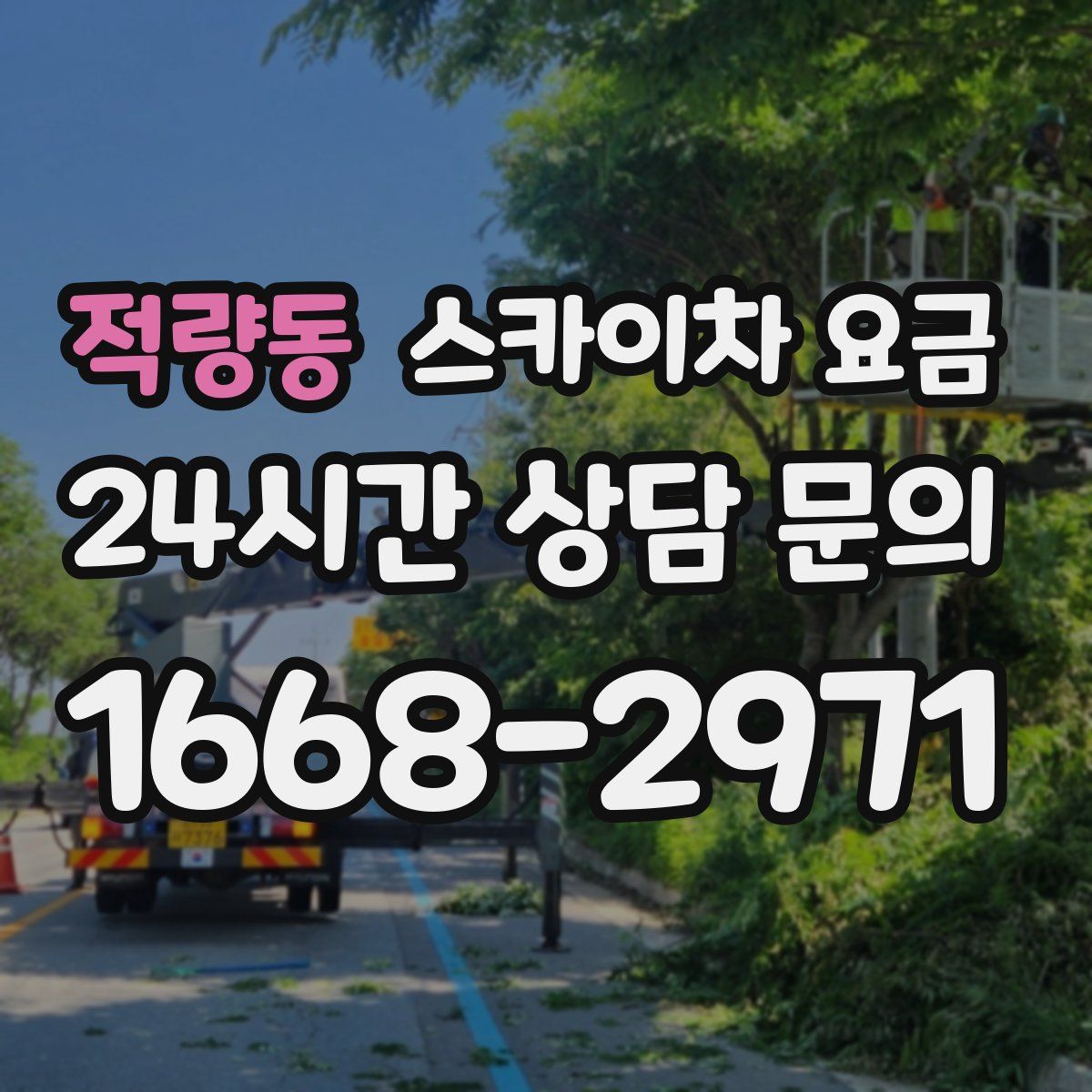 적량동 스카이차 요금