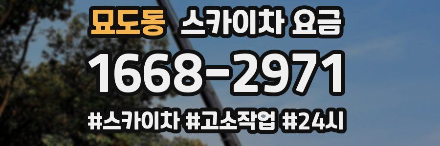 묘도동 스카이차 요금